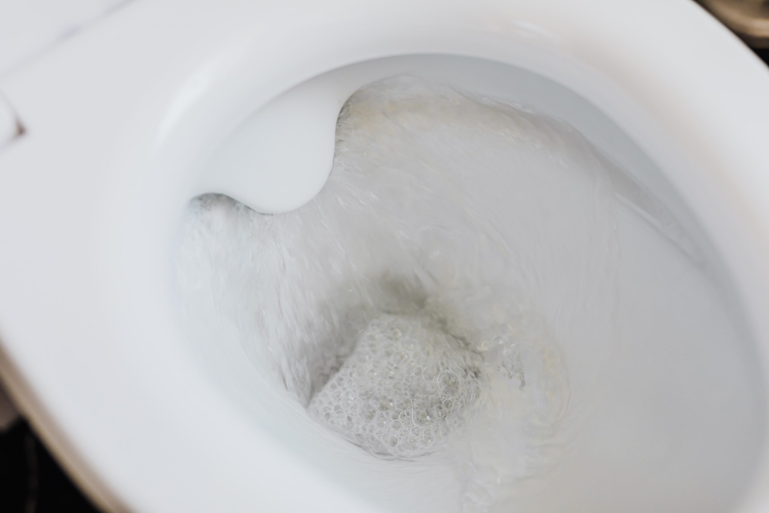 toilet flush scaled